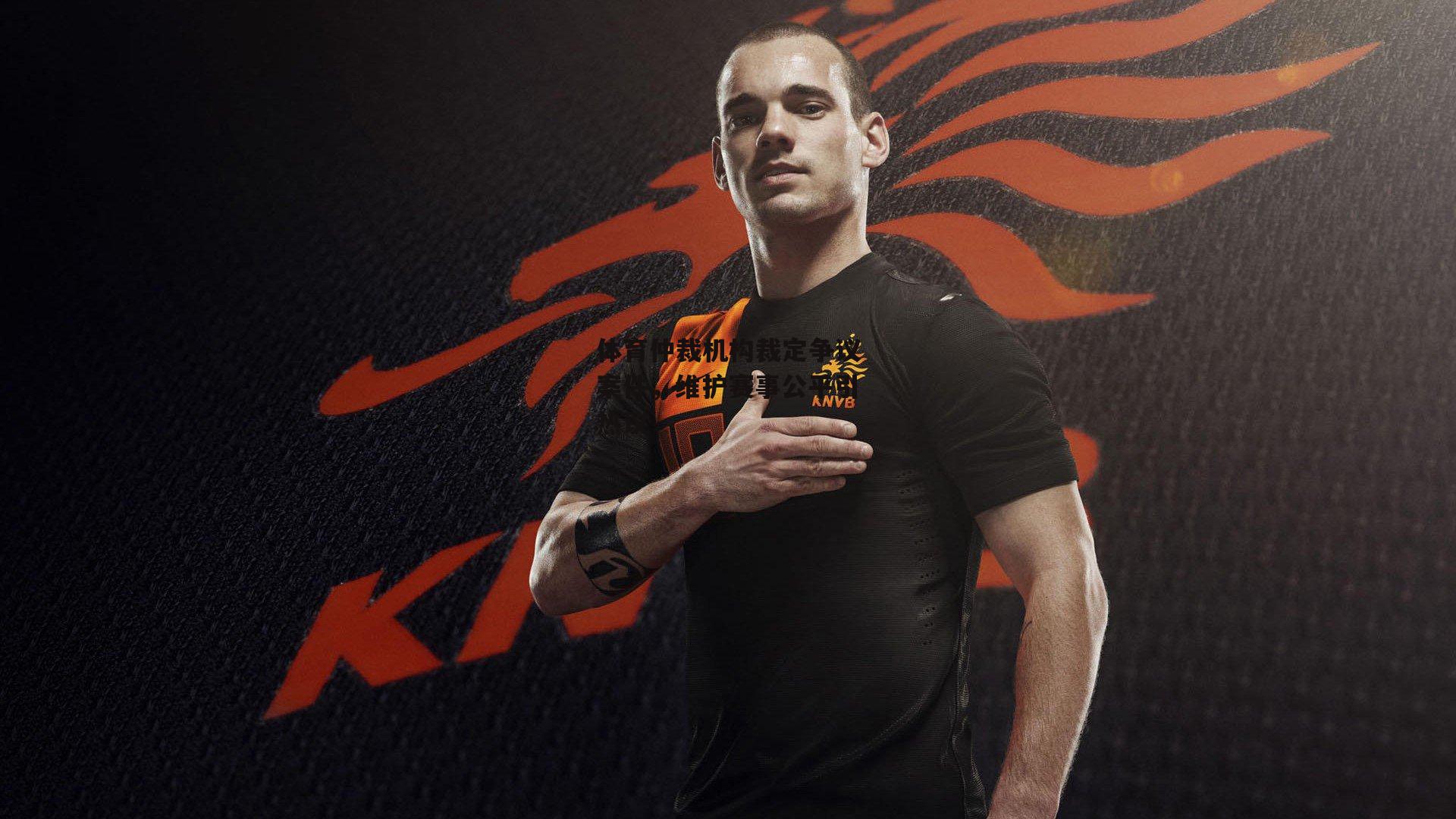 体育仲裁机构裁定争议案件,维护赛事公平引热议