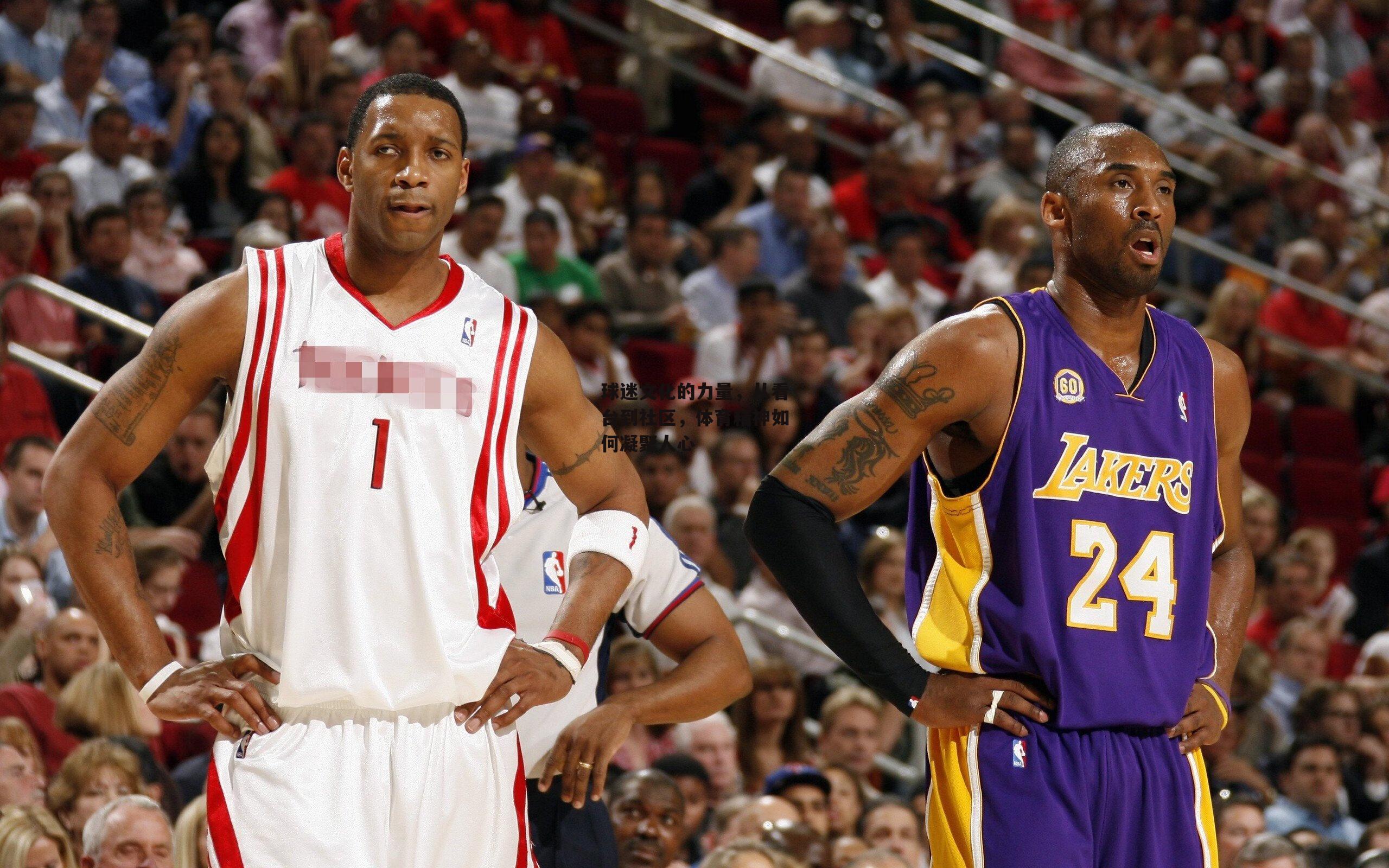 球迷文化的力量,从看台到社区,体育精神如何凝聚人心