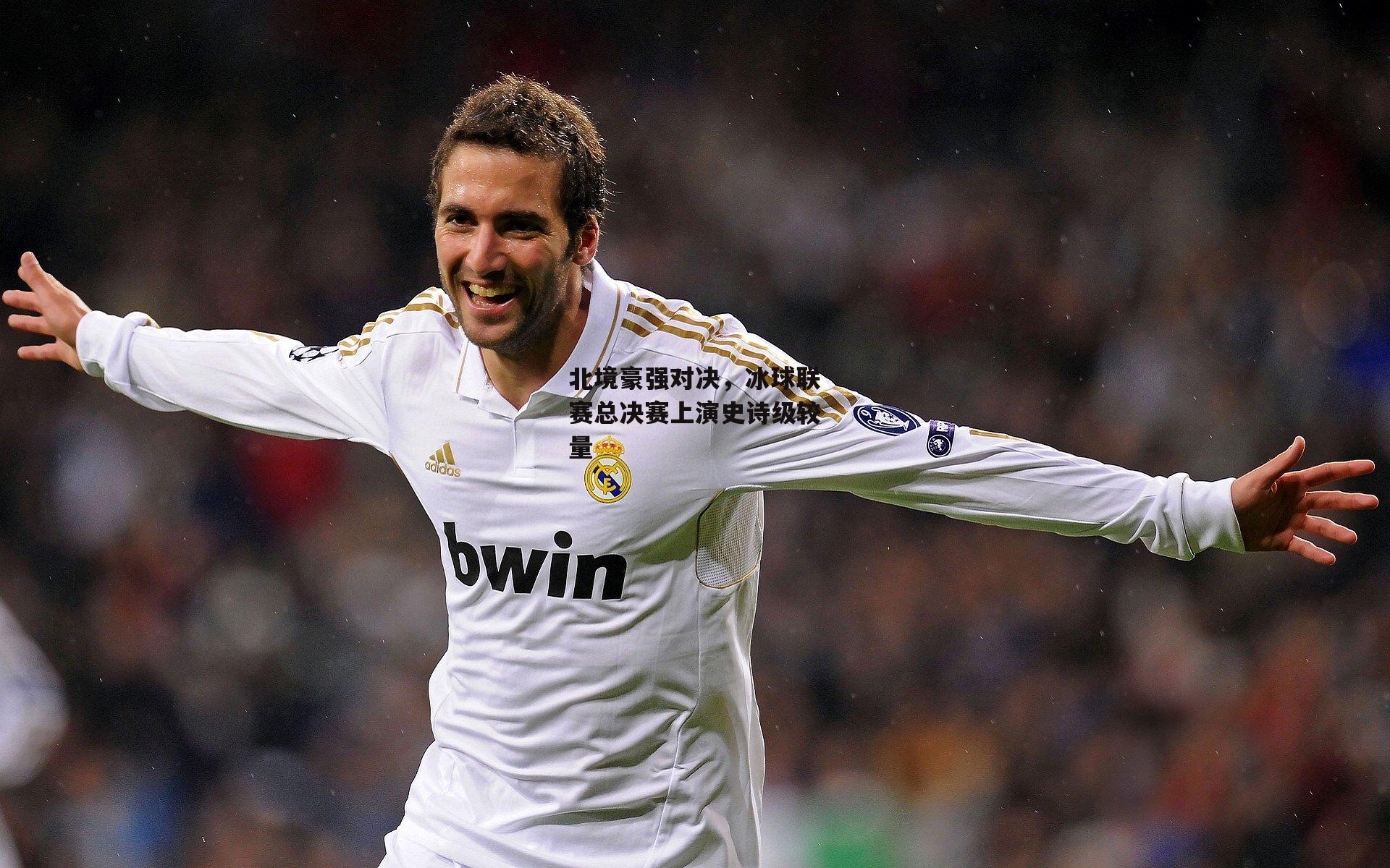 北境豪强对决,冰球联赛总决赛上演史诗级较量